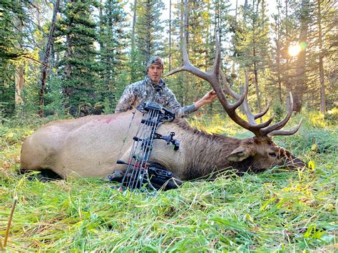 AN ARCHERY ELK HUNT 